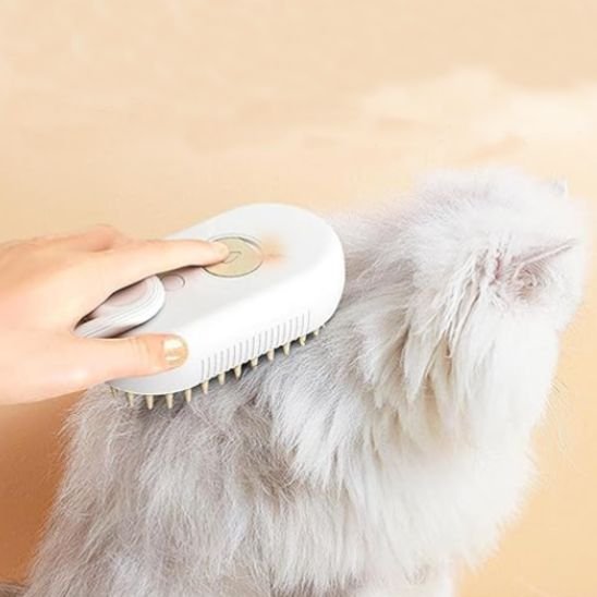 Brosse chat