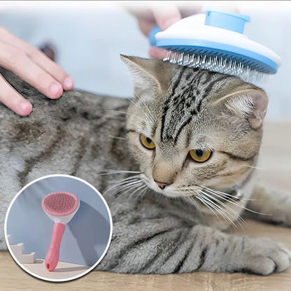 Brosse chat