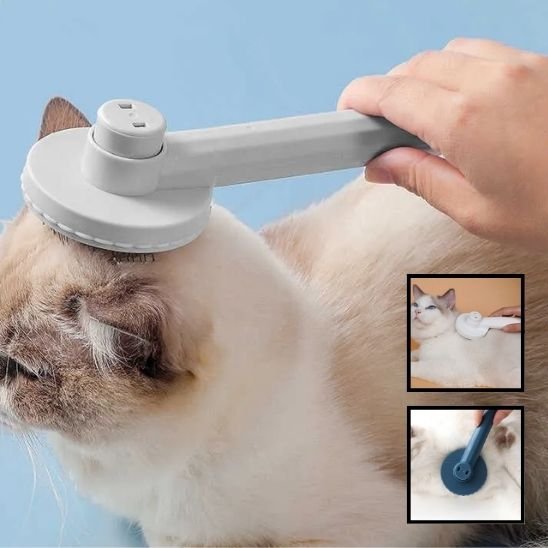 Brosse chat 