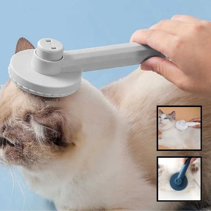 Brosse chat 