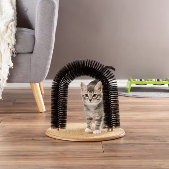 brosse chat