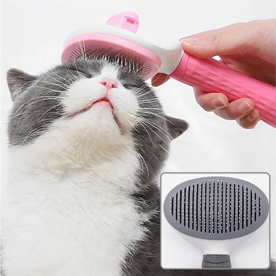 Brosse chat