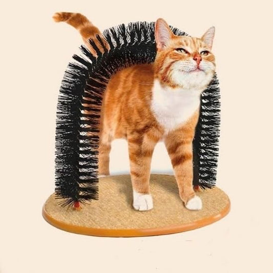 brosse chat