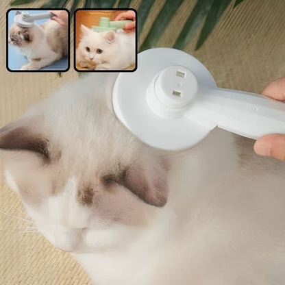 Brosse chat 