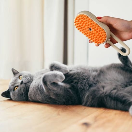 Brosse chat