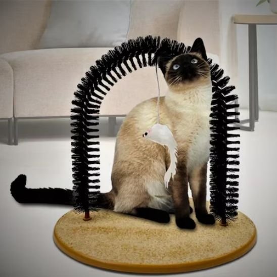 brosse chat