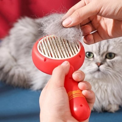 Brosse pour Chat | Autonettoyante Douce - Mondechat