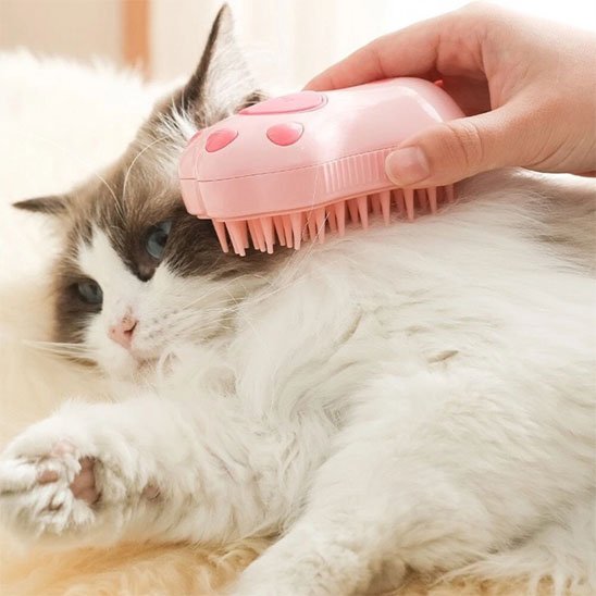 Brosse pour chat | Pelage Brillant - Mondechat