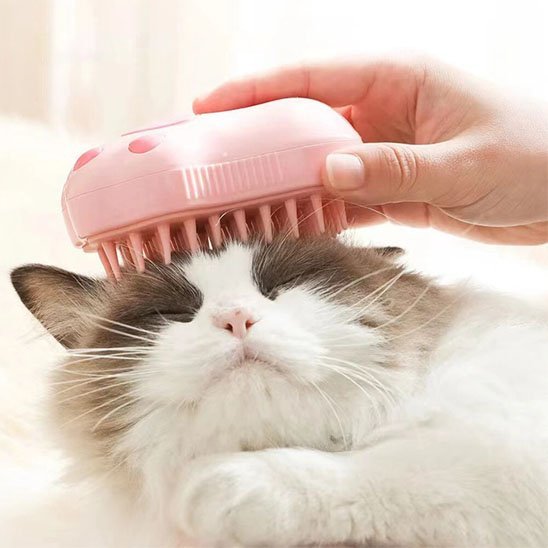Brosse pour chat | Pelage Brillant - Mondechat