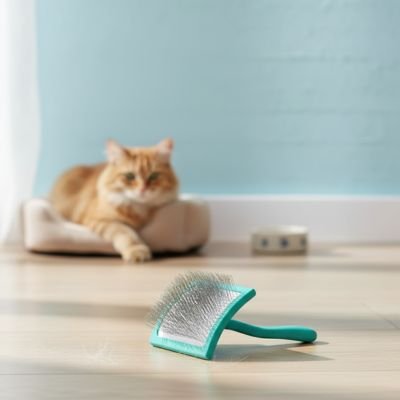 Brosse pour chat poil long | Anti-Nœuds - Mondechat