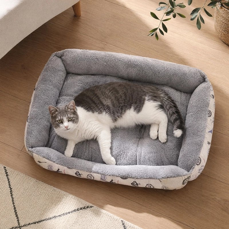 Chat panier