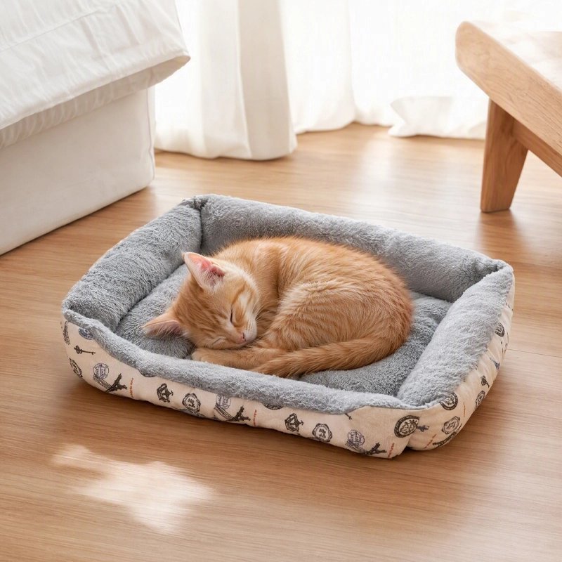 Chat panier