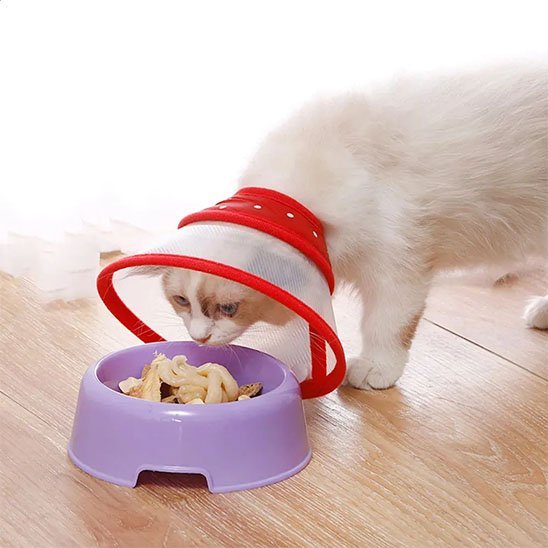 Collerette Chat | Confort Ajustable - Mondechat