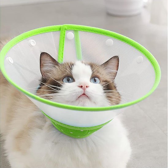Collerette Chat | Confort Ajustable - Mondechat