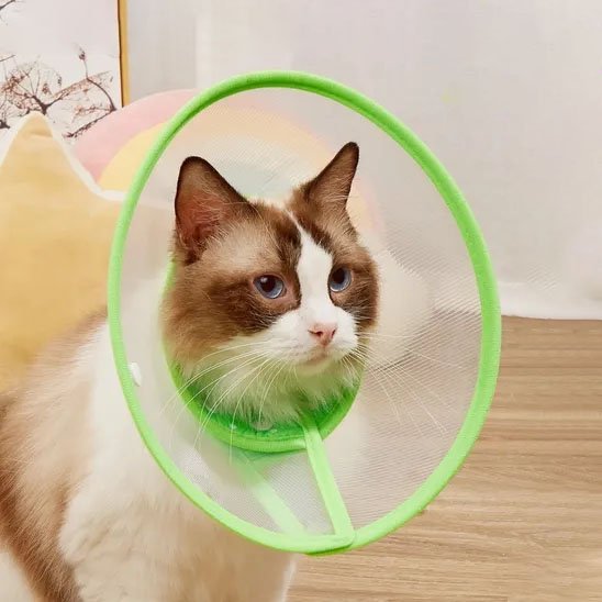 Collerette Chat | Confort Ajustable - Mondechat