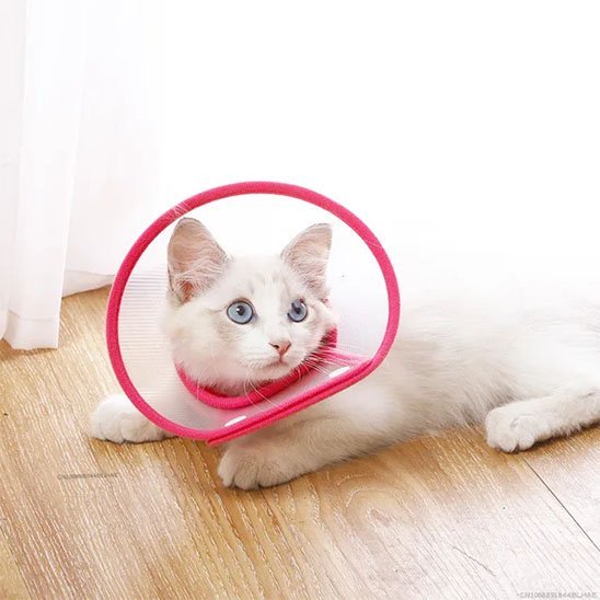 Collerette Chat | Confort Ajustable - Mondechat