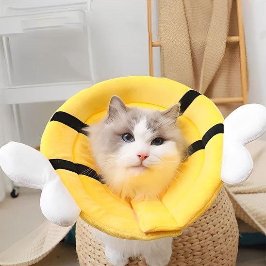 Collerette chat Confort | Design ComfortFlex - Mondechat