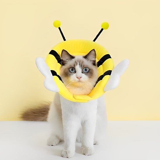 Collerette chat Confort | Design ComfortFlex - Mondechat