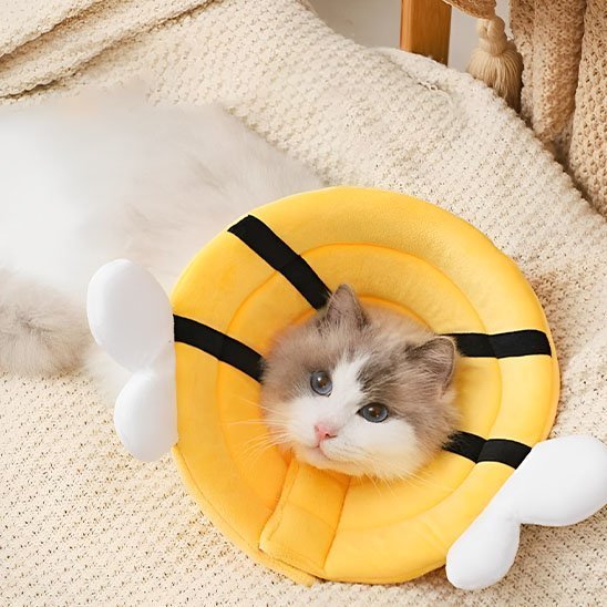 Collerette chat Confort | Design ComfortFlex - Mondechat