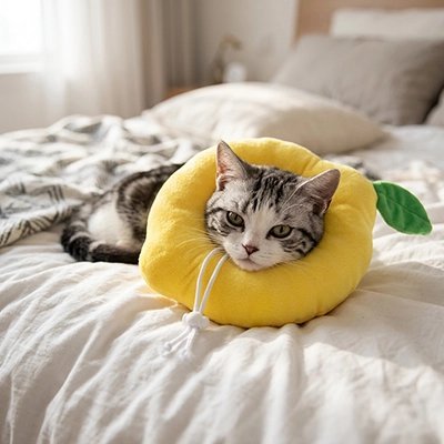 Collerette Chat | Confort Postopératoire - Mondechat