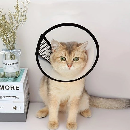 Collerette chat | Confort Protecteur - Mondechat
