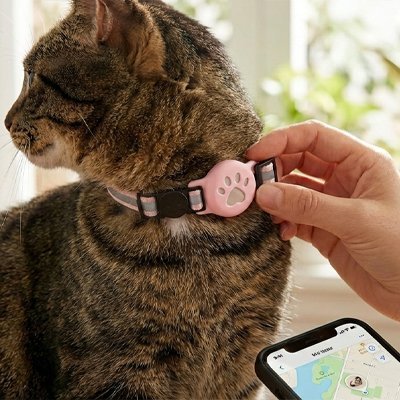 Collier avec Traqueur Connecté Chat | Bluetooth & Réseau Collaboratif - Mondechat