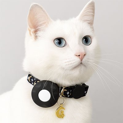 Collier GPS chat