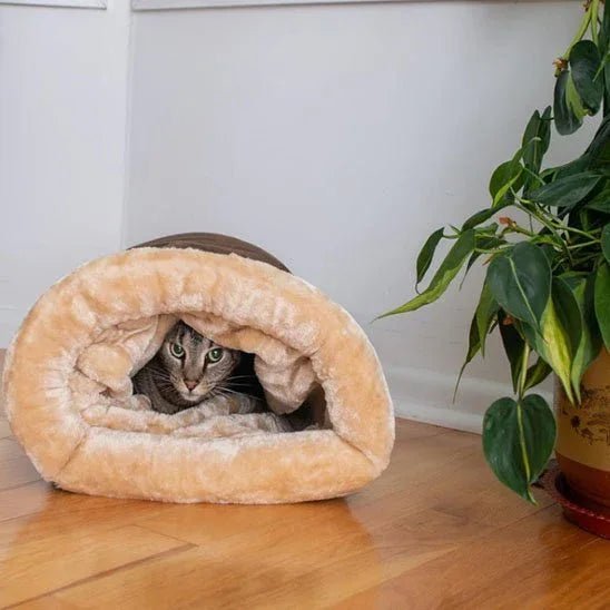 Coussin chat confortable UltraConfort pour un confort optimal - Mondechat