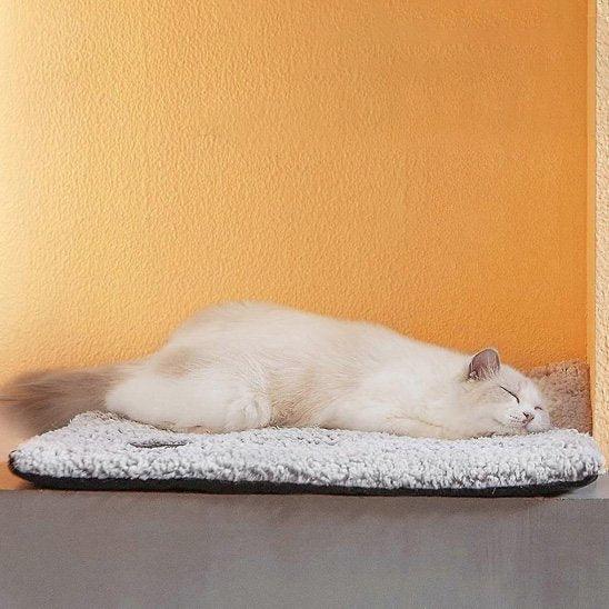 coussin chat doux | Doux Rêve - Mondechat