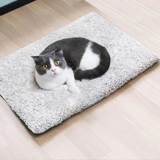 coussin chat doux | Doux Rêve - Mondechat