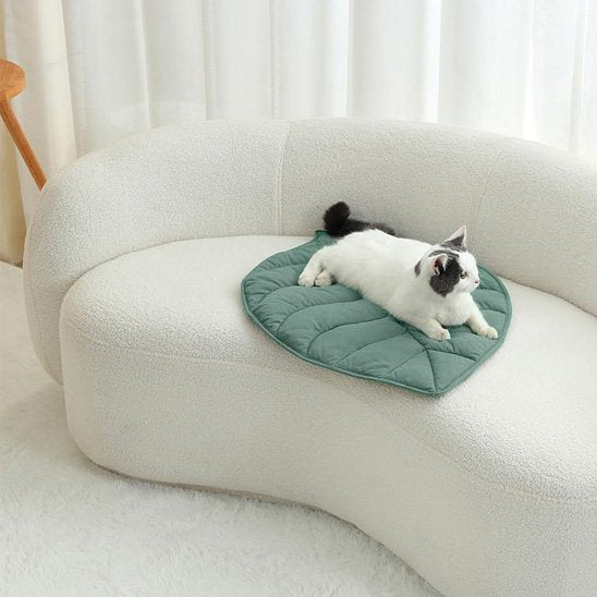 coussin chat | Premium Douillet - Mondechat