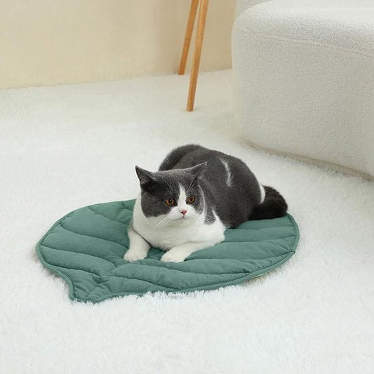 coussin chat | Premium Douillet - Mondechat