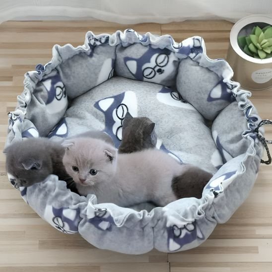 Coussin Chat | Ultra - Confort Premium - Mondechat