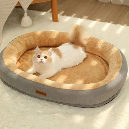 Coussin Chat Ultra - Doux pour un Confort Optimal - Mondechat