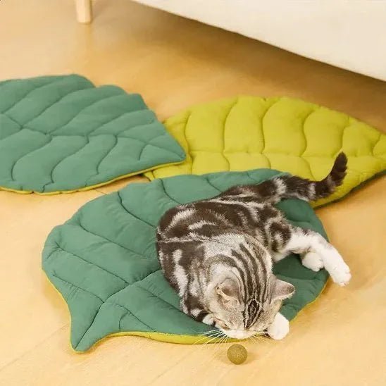Coussin pour chat | Premium Douillet Confortable - Mondechat