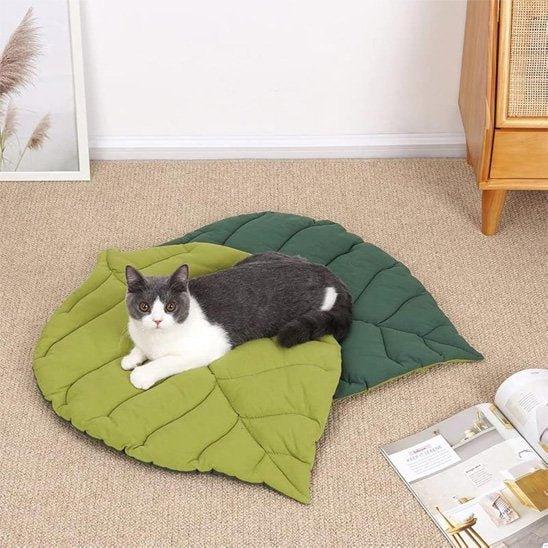 Coussin pour chat | Premium Douillet Confortable - Mondechat
