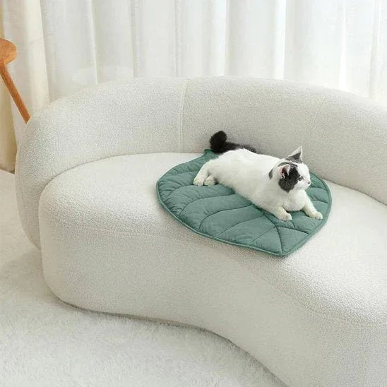 Coussin pour chat | Premium Douillet Confortable - Mondechat