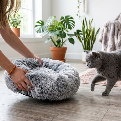 Coussin pour Chat | Rond Bords Surélevés Ultra-Moelleux - Mondechat