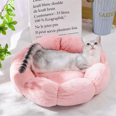 Coussin pour chat | Royal Comfort - Mondechat