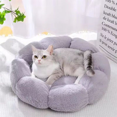 Coussin pour chat | Royal Comfort - Mondechat