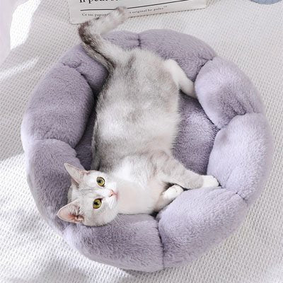 Coussin pour chat | Royal Comfort - Mondechat