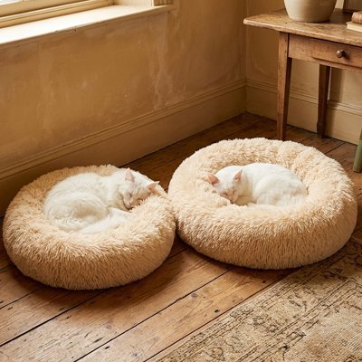 Coussin pour Chat | Ultra-Confortable - Mondechat