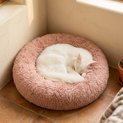 Coussin pour Chat | Ultra-Confortable - Mondechat