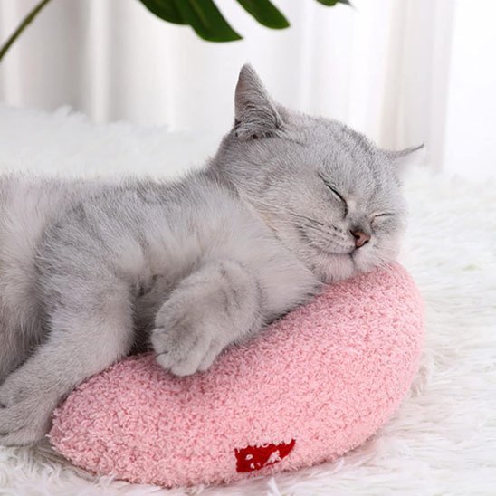 Coussin pour Chat | Ultra - Douillet - Mondechat