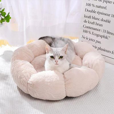 Coussin pour chat