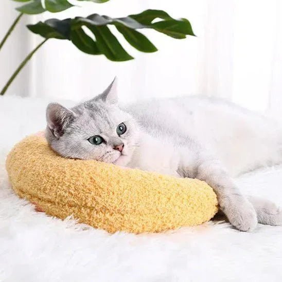 Coussin ultra-douillet pour chat | Confort optimal en mémoire de forme - Mondechat