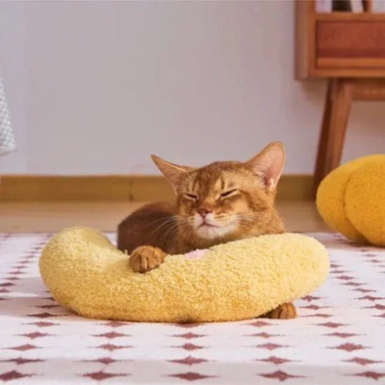 Coussin ultra-douillet pour chat | Confort optimal en mémoire de forme - Mondechat
