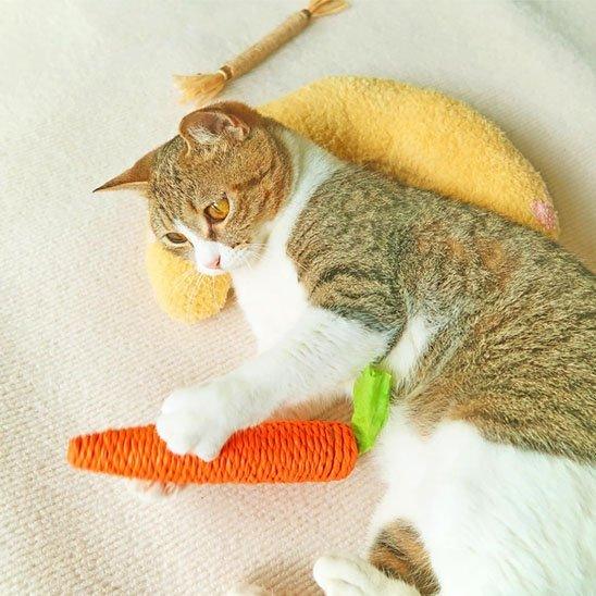 Coussin ultra-douillet pour chat | Confort optimal en mémoire de forme - Mondechat
