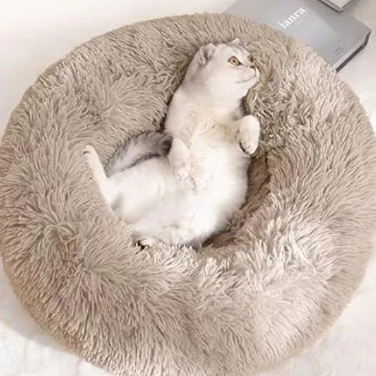 Coussin ultra-moelleux pour chat - Confort et douceur inégalés - Mondechat