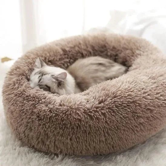 Coussin ultra-moelleux pour chat - Confort et douceur inégalés - Mondechat